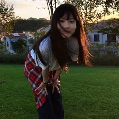 鸣鸿传